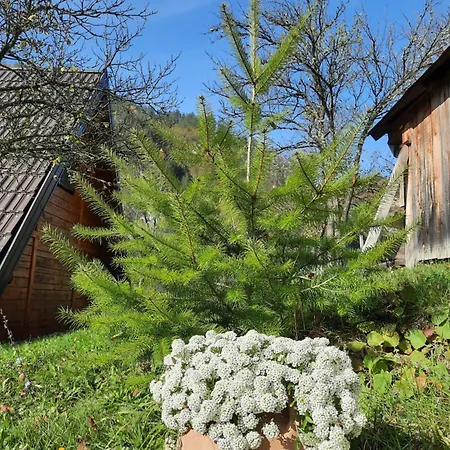 Semesterbostad Vikendica Neven